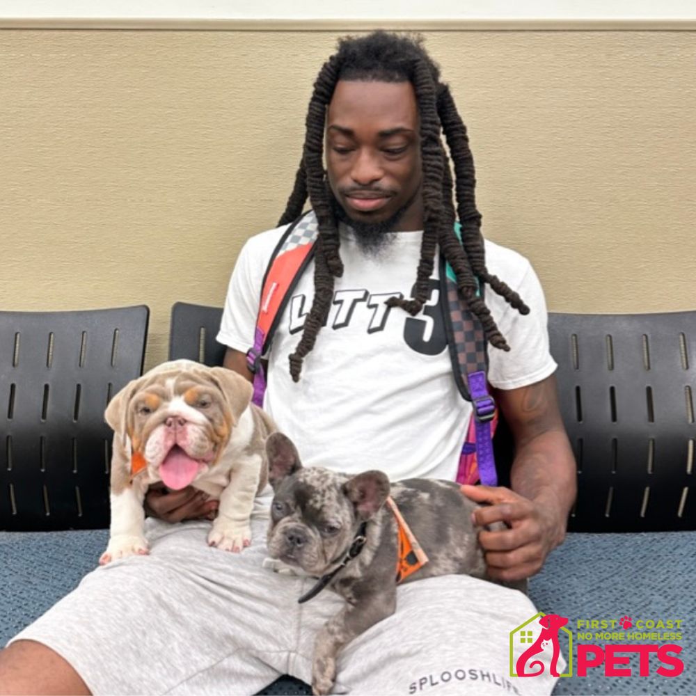 First Coast No More Homeless Pets Image