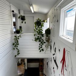 Black And Brown - Upstairs