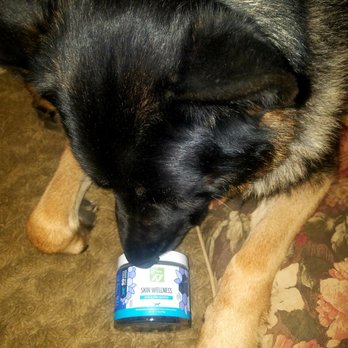 PetSmart - Maybe... - Pet Stores Near Me - Dublin, California