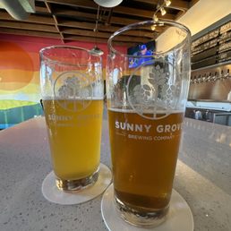 Left: Jandals, a New Zealand IPA (6.4 abv) Right: Jubilee, an English Mild (4.4 abv) Left: Jandals, a New Zealand IPA (6.4 abv) Right: Jubilee, an English Mild (4.4 abv)