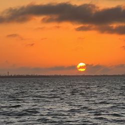 Sun-N-Fun Tours & Charters - Dolphinpontoon.com
