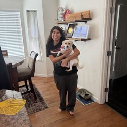 Calming Nature Pet Grooming - Sammy