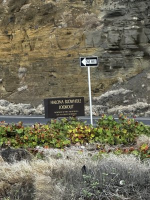 Halona Blowhole Lookout by null