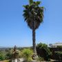 Photo of A.G.M Tree Service