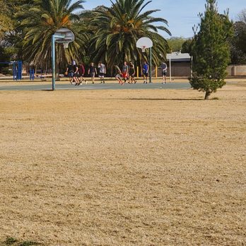 McCormick Park - Absolutely gorgeous day at McCormick park!! - Parks Near Me - Tucson, Arizona