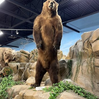 Rosenbruch Wildlife Museum - Museums Near Me - St. George, Utah Rosenbruch Wildlife Museum - Museums Near Me - St. George, Utah