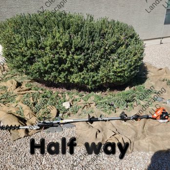Az Clean Landscaping - a hedge trimer in the middle of the yard - Gardeners Near Me Az Clean Landscaping - a hedge trimer in the middle of the yard - Gardeners Near Me