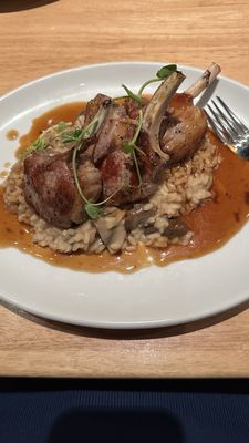 The Birds & Bees by null