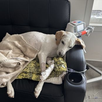 VEG ER for Pets - In a private room with a comfy spot. The best of a bad situation. - Emergency Pet Hospital Near Me - Pikesville, Maryland VEG ER for Pets - In a private room with a comfy spot. The best of a bad situation. - Emergency Pet Hospital Near Me - Pikesville, Maryland