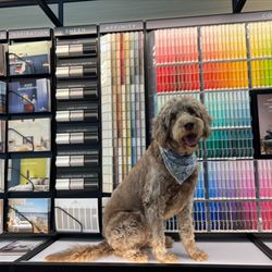 Southwestern Paint - Benjamin Moore