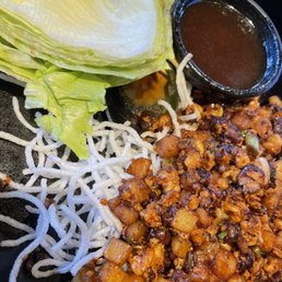 Vegetarian Lettuce Wrap
