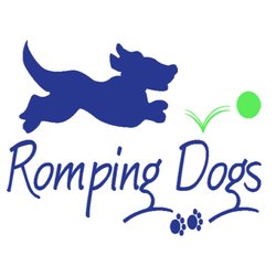 Romping Dogs