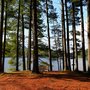 Photo of The N On Mountain Spring Lake