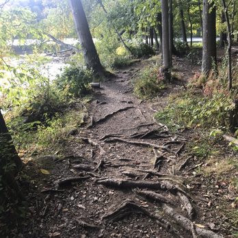 Teatown Lake Reservation - Lakeside trail - Hiking Near Me - Ossining, New York