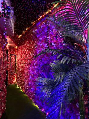 Octopus Kitchen & Hookah by null