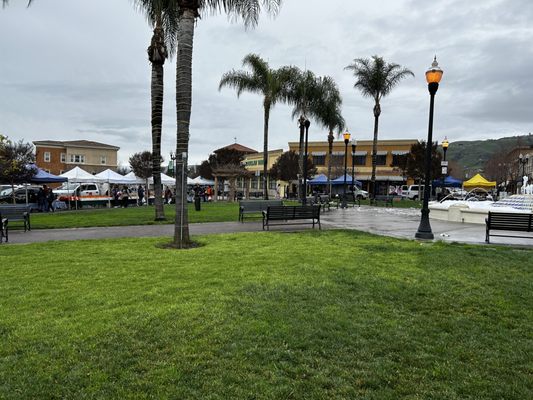 Evergreen Farmers' Market by null