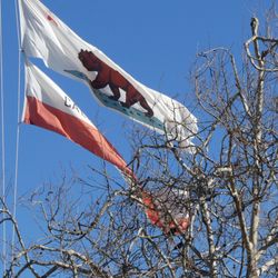 Old Sacramento Waterfront - The state flag need repairing or replacing.