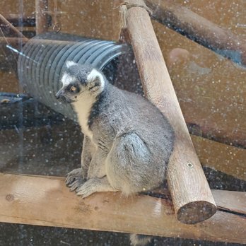 Idaho Falls Zoo - Zoos Near Me - Idaho Falls, Idaho Idaho Falls Zoo - Zoos Near Me - Idaho Falls, Idaho