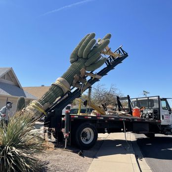 Preserving Tree and Cactus Service - Cactus Removal 3!!! - Tree Services Near Me - Wittmann, Arizona Preserving Tree and Cactus Service - Cactus Removal 3!!! - Tree Services Near Me - Wittmann, Arizona