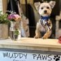 Photo of Muddy Paws Harrison’s Grooming Studio