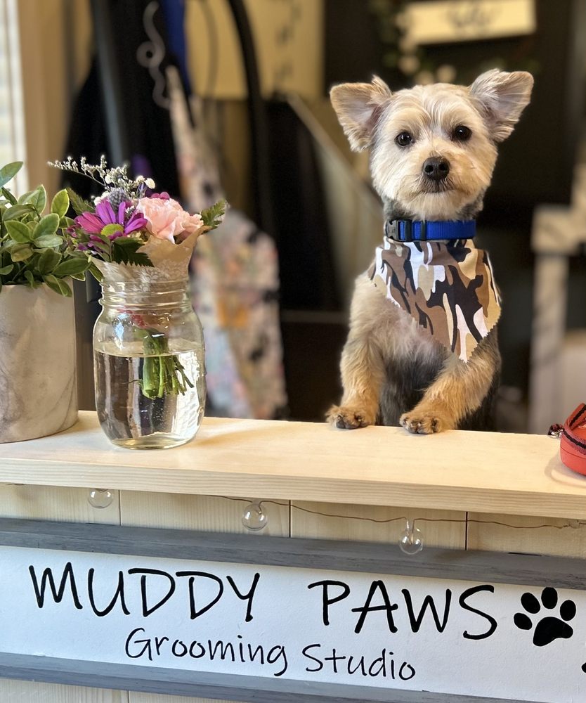 MUDDY PAWS HARRISON’S GROOMING STUDIO Updated July 2024 Request an