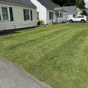 AJ Property Maintenance - Lawn Services Near Me