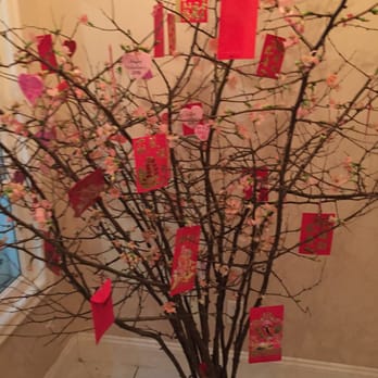 Prince Tea House - Plum blossom tree when you enter - Desserts Near Me - Brooklyn, New York Prince Tea House - Plum blossom tree when you enter - Desserts Near Me - Brooklyn, New York