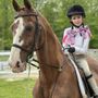Photo of A&M Equine Services