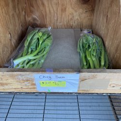 Fresh Choy Sum