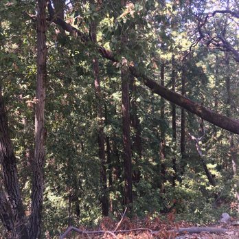 Huddart County Park - Parks Near Me - Woodside, California Huddart County Park - Parks Near Me - Woodside, California