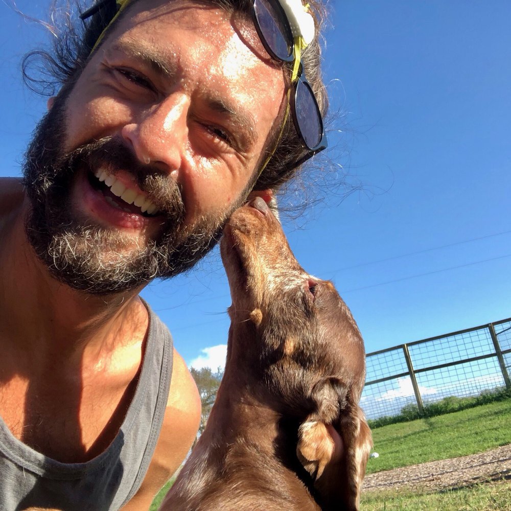 Happy Hounds Hotels - Pet Boarding Near Me - Kyle, Texas Happy Hounds Hotels - Pet Boarding Near Me - Kyle, Texas