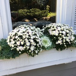 Gardens by Lynn - Fall Window Box