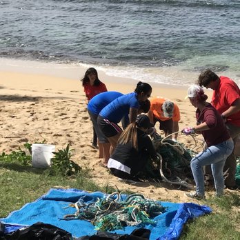 808 Cleanups - It took countless volunteers and at least 6 sessions to remove this mass from the water. Thank you to everyone who took time. - Community Service/Non-Profit Near Me 808 Cleanups - It took countless volunteers and at least 6 sessions to remove this mass from the water. Thank you to everyone who took time. - Community Service/Non-Profit Near Me
