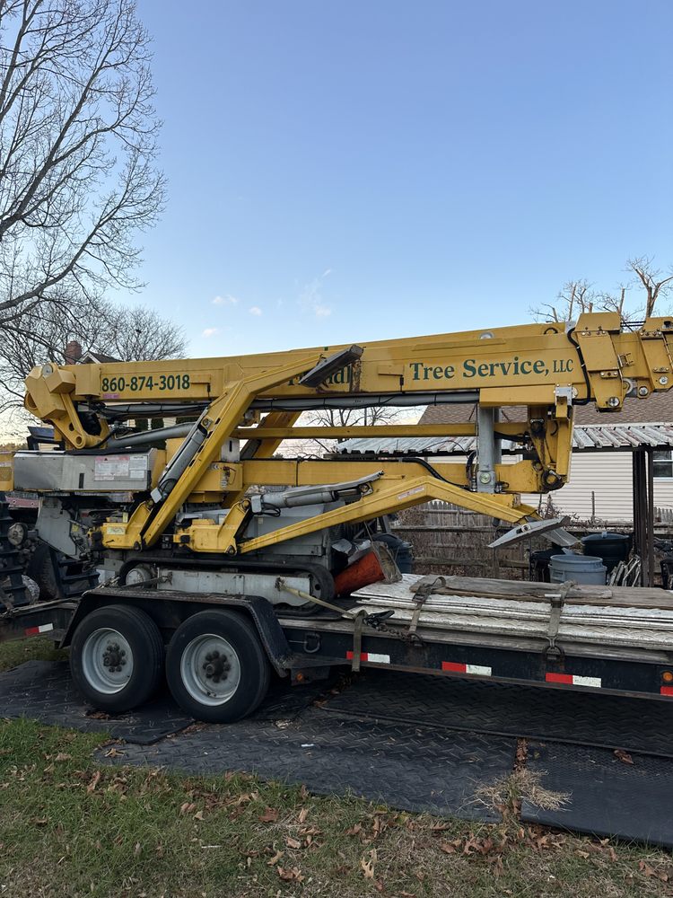 G's Friendly Tree Service - tree service in Manchester, CT