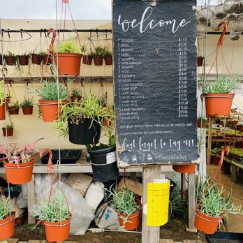 Mariscal Cactus & Succulents - Prices - Nurseries & Gardening Near Me - Fallbrook, California Mariscal Cactus & Succulents - Prices - Nurseries & Gardening Near Me - Fallbrook, California