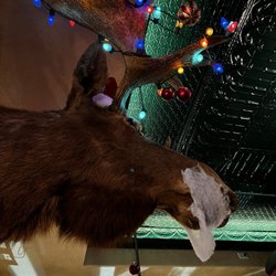 The Bosch Tavern - Cute, festive decor