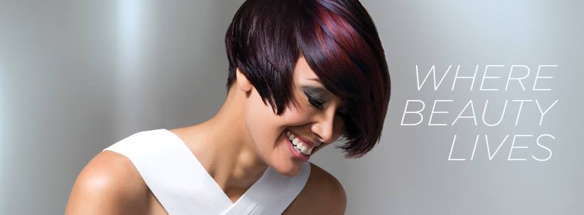 Mirrored Image Hair Design Image