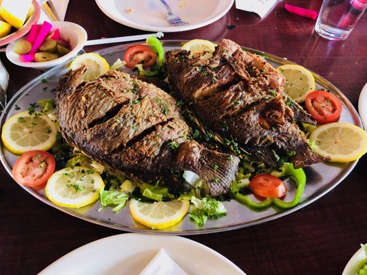 El Mahroosa Restaurant & Cafe by null