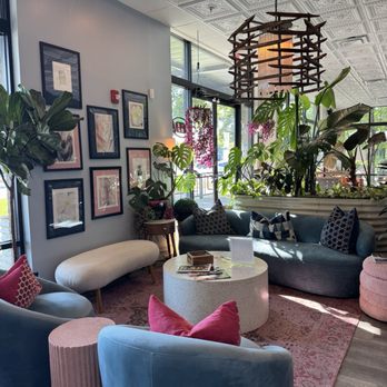 Plant Bar - Coffee & Tea Near Me - Chattanooga, Tennessee Plant Bar - Coffee & Tea Near Me - Chattanooga, Tennessee
