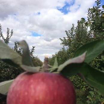 Stuckey Farm Orchard and Cider Mill - A good apple from the bunch - Farmers Market Near Me - Sheridan, Indiana