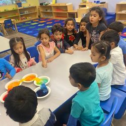 Little Flowers Montessori