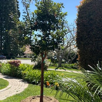 Moon Valley Nurseries - Landscaping Near Me - Torrance, California Moon Valley Nurseries - Landscaping Near Me - Torrance, California