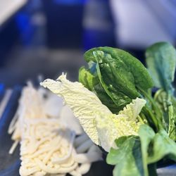 KPOT Korean BBQ & Hot Pot - Udon enoki mushrooms Napa cabbage bok choy spinach tebokki