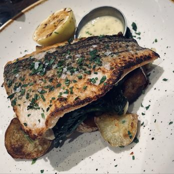 Alta Strada - Fish of the day - Italian Near Me - Fairfax, Virginia