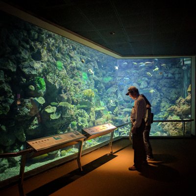 National Museum of Marine Biology & Aquarium by null