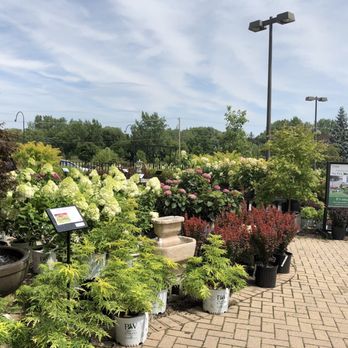 Platt Hill Nursery - Nurseries & Gardening Near Me - Bloomingdale, Illinois