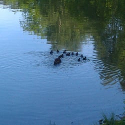 Stadtpark Chemnitz