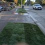 Landscaping Landin