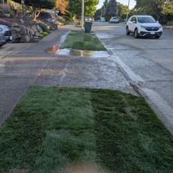 Landscaping Landin