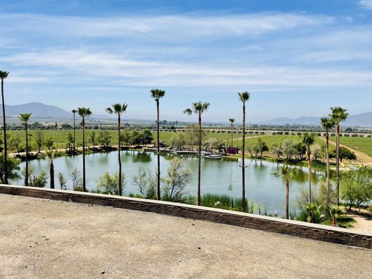 Monte Xanic Bodega Vinícola by null